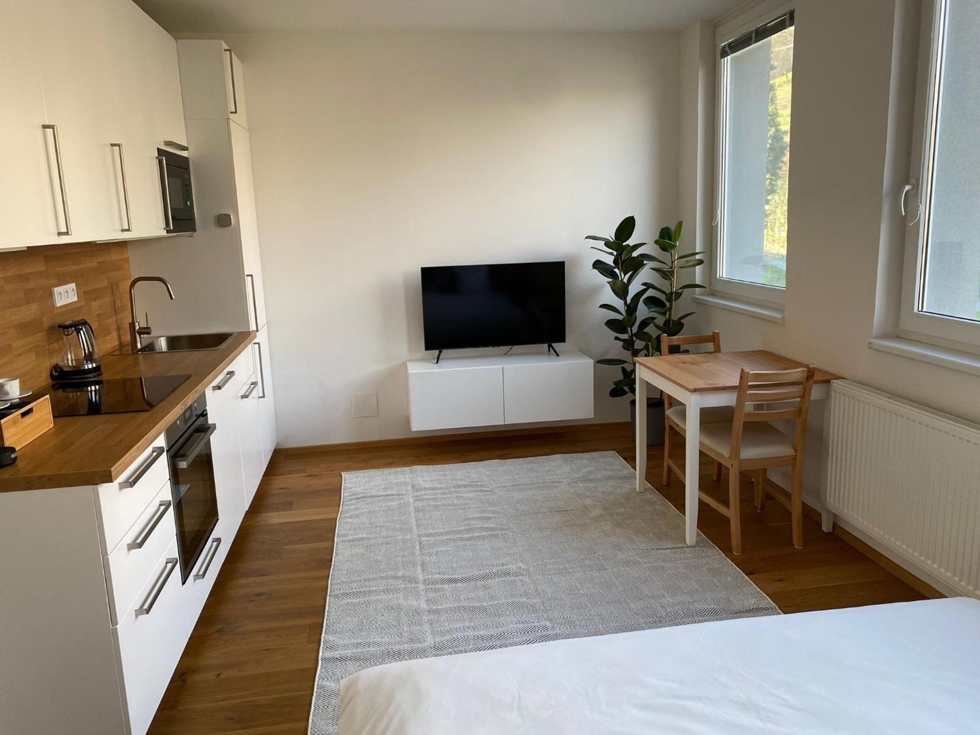 Apartment Vinice *